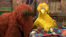 Big Bird's Nest Sale